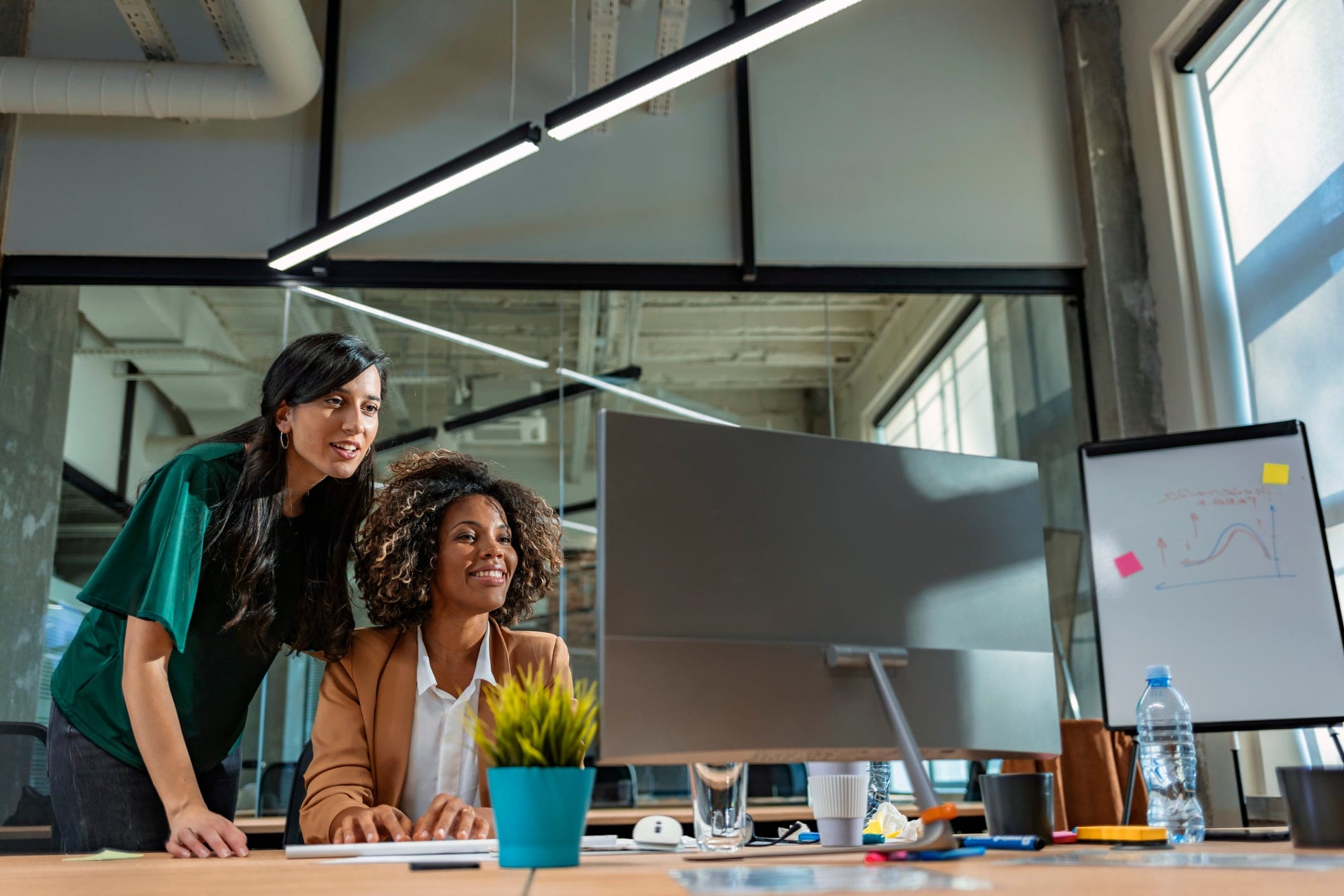 Two women looking at a computer monitor