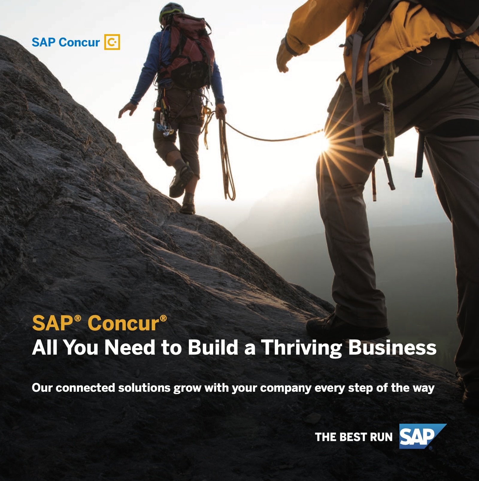 Resource asset image