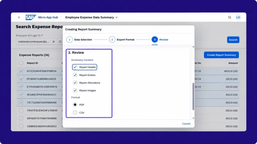 employee expense data summary demo